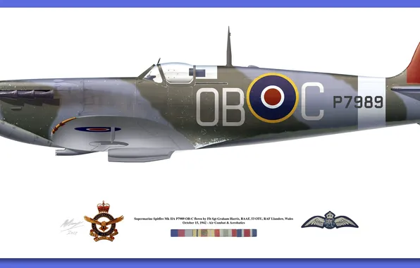 Picture signs, medals, spitfire mk vb