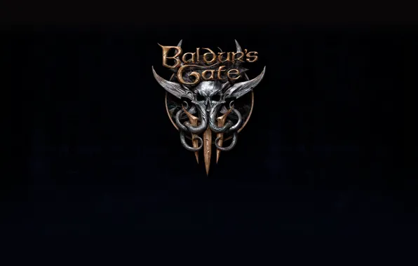 Fantasy, Game, RPG, Forgotten Realms, Forgotten, DnD, Baldur's Gate, Larian Studios
