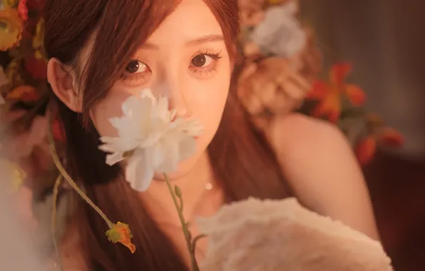Beautiful, Asian, Model, Flower, Woman, Cute, Glove, Pretty