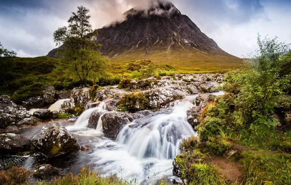 Waterfall, Tree, Mountain
