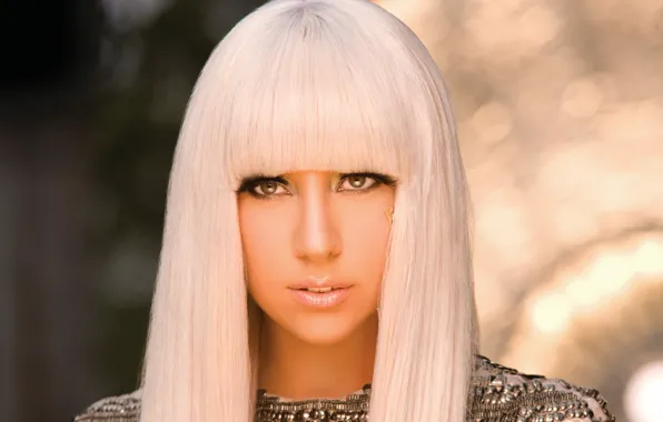 Picture singer, lady gaga, lady Gaga