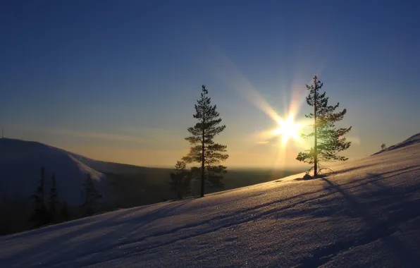Picture the sky, the sun, trees, Snow