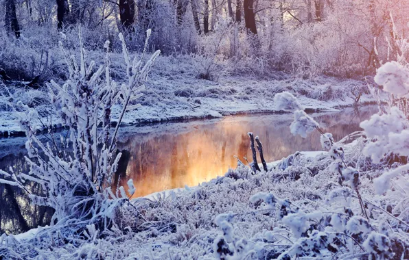 Winter, snow, lake