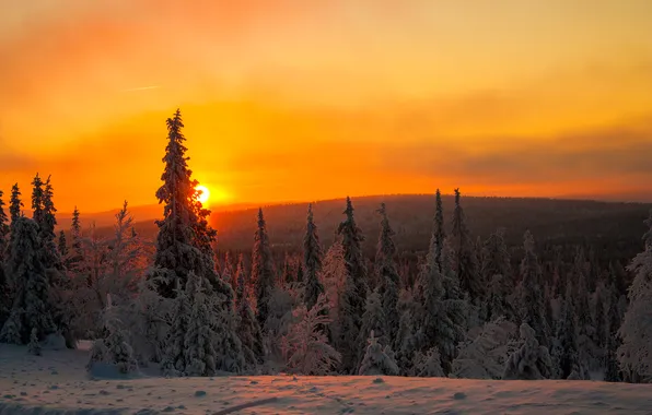 Winter, the sky, clouds, snow, trees, sunset, mountains, Finland
