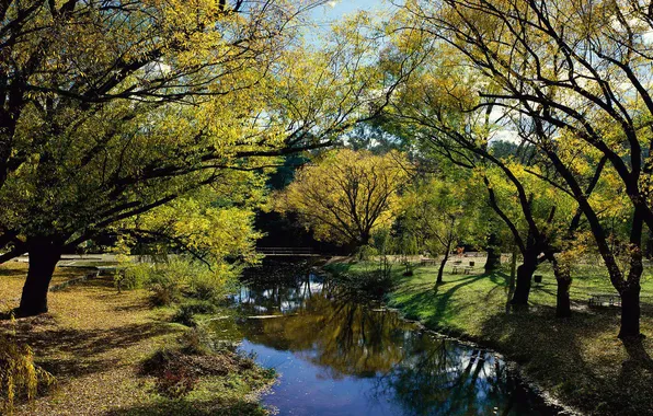 Autumn, the sun, trees, landscape, Park, branch, river, tenek