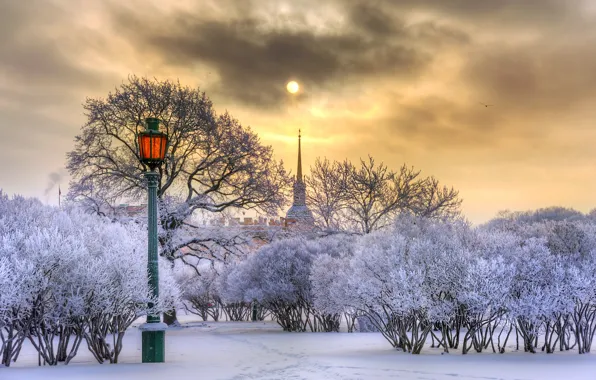 Picture winter, the sun, snow, trees, the city, Peter, Saint Petersburg, lantern