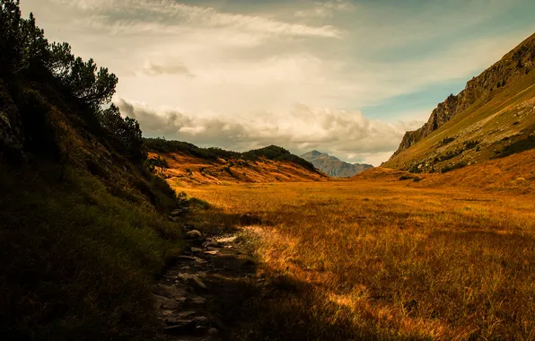 Field, autumn, the sky, grass, clouds, mountains, hills, lighting
