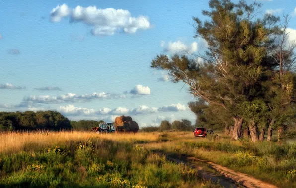 Summer, landscape, style, background