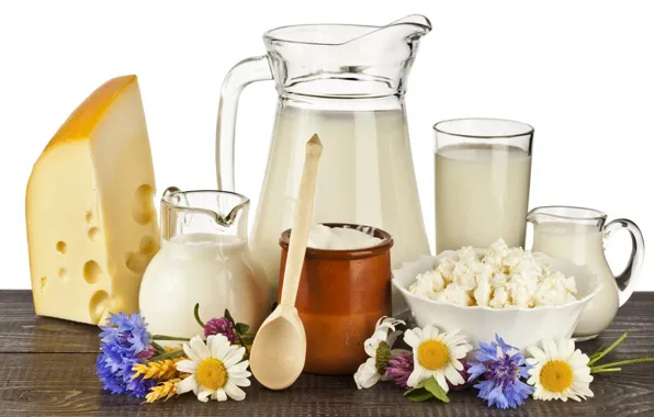 Picture cheese, Daisy, milk, cornflower