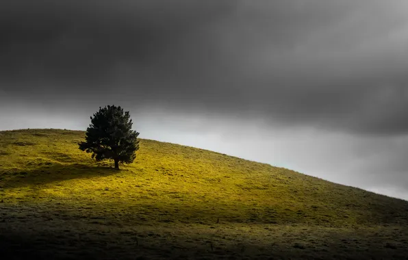 Picture the sky, tree, slide