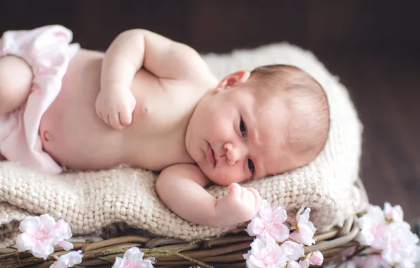 Flowers, basket, child, baby