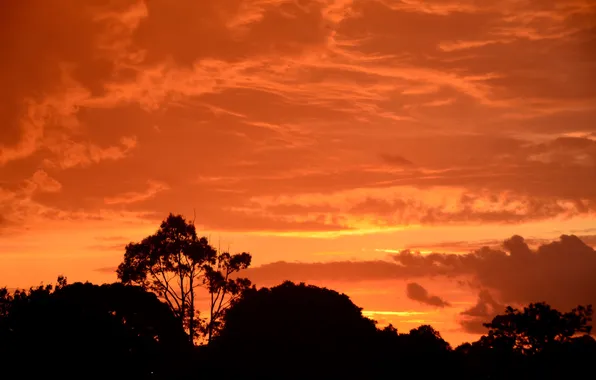 The sky, clouds, sunset, silhouettes