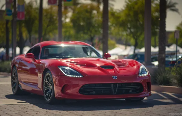 Dodge, viper, 2013