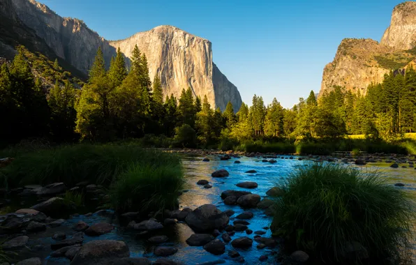 Forest, mountains, river, valley, CA, California, Yosemite national Park, Yosemite National Park