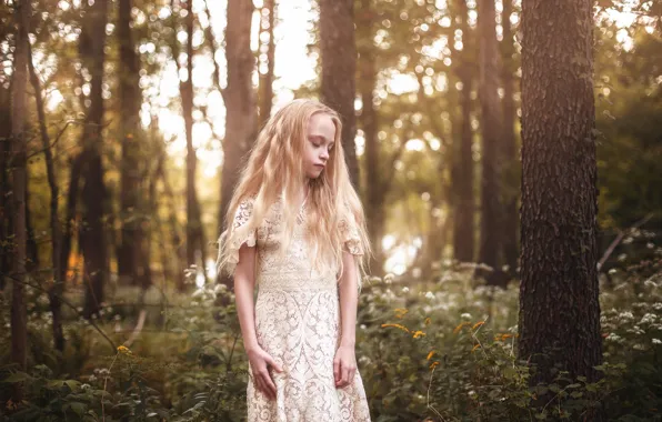 Picture forest, girl, Aleah Michele, Little Bird