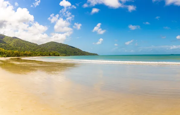 Sand, sea, forest, beach, the sky, the sun, clouds, mountains