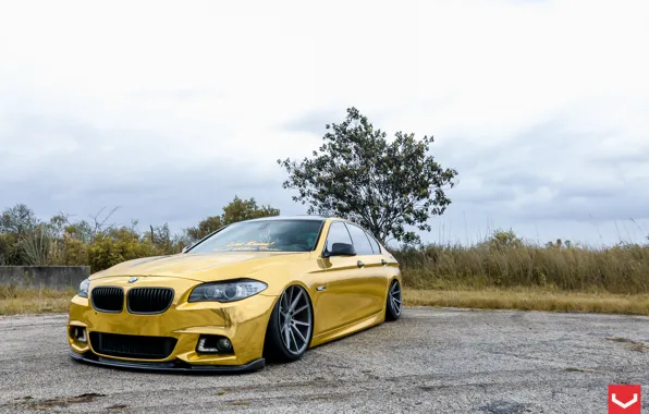 BMW, gold, Series, vossen