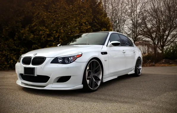 Wallpaper White, Trees, Tuning, Bmw, Bmw, White, Sedan, E60 Images For 