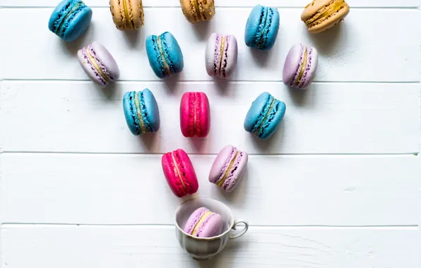 Picture colorful, Cup, cup, spring, macaroon, macaron, macaroon
