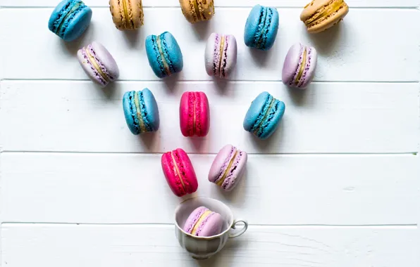 Colorful, Cup, cup, spring, macaroon, macaron, macaroon