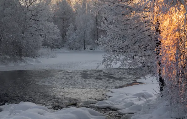 Picture winter, frost, forest, snow, trees, river, Russia, frost