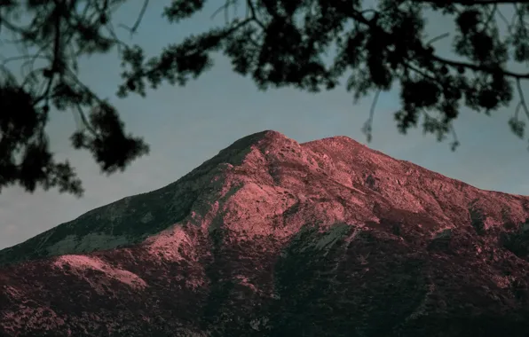 The sky, landscape, branches, mountain, twilight