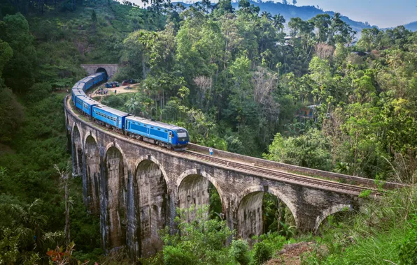 Picture Nature, Mountains, Bridge, Trees, Train, Railroad, Jungle, Railway