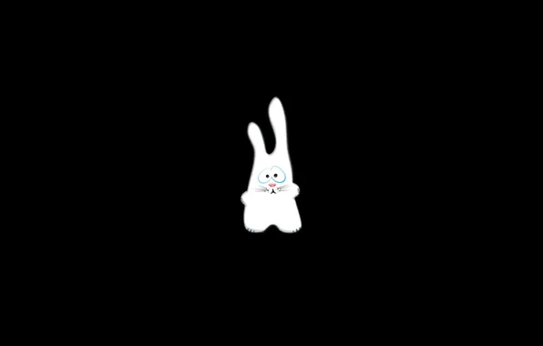 Rabbit, black background, Bunny, Bunny, hd Wallpapers, original, Wallpaper for desktop, Wallpaper Bunny