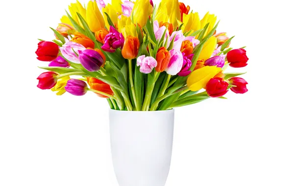 Picture flowers, bouquet, tulips, vase, colorful, white background