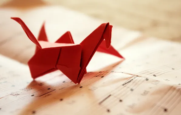 Paper, notes, origami