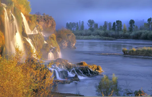 Autumn, forest, trees, fog, river, stones, waterfall, the bushes