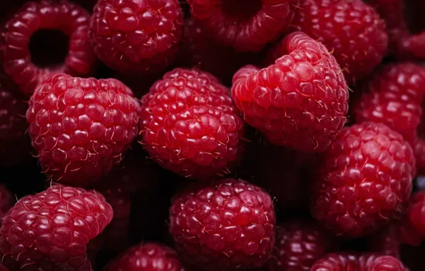 Picture berries, raspberry, a lot, macro
