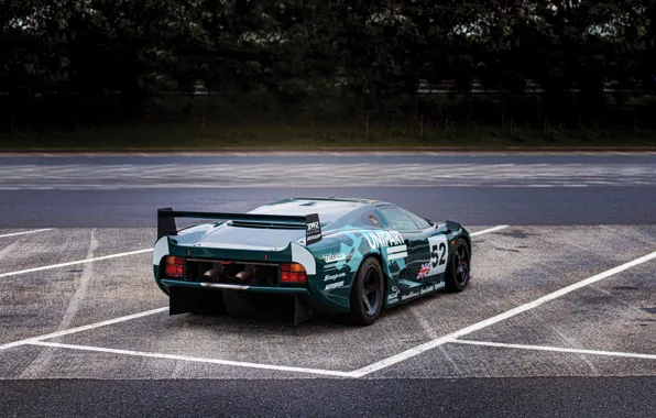 Jaguar, Green, Jaguar, Racing, Rear view, XJ220, Racing car, Racing car