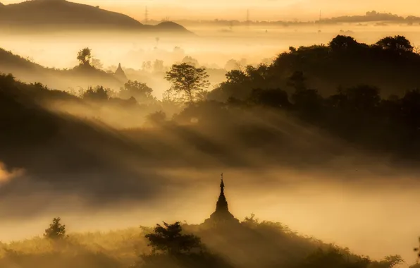 Forest, dawn, pagoda, Myanmar