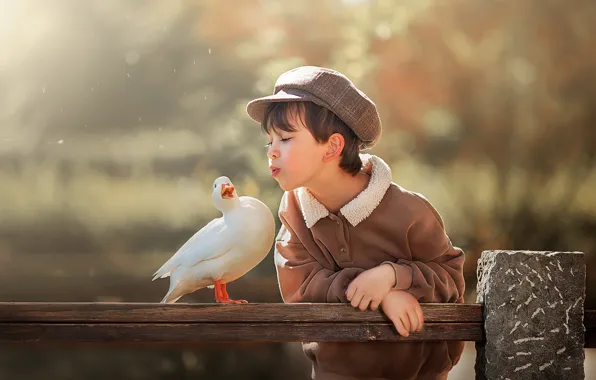 Picture nature, bird, boy, duck, child