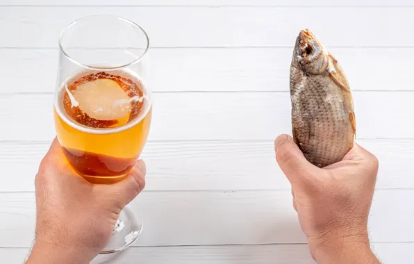 Picture table, glass, beer, fish, hands, Zakus