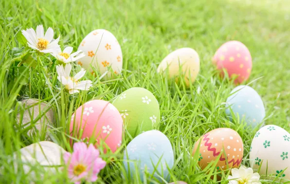 Grass, flowers, eggs, Easter, flowers, spring, Easter, eggs