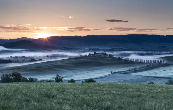 Field, landscape, fog, Tuscany Morning
