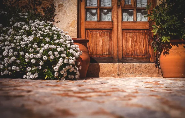 Picture jars, house, door