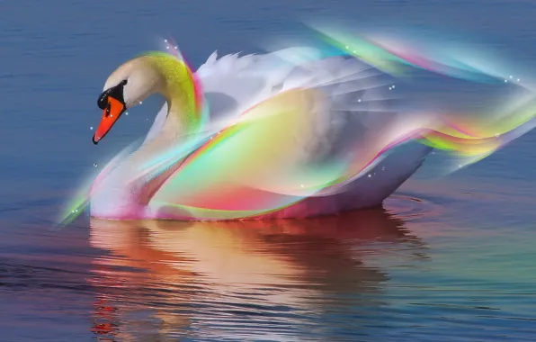 Water, Swan, Rainbow
