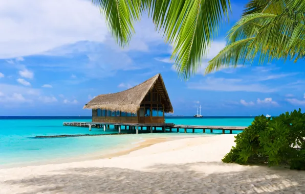 Beach, the ocean, The Maldives, Laguna, Bungalow