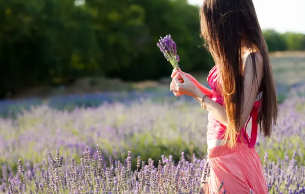 Field, purple, leaves, girl, trees, flowers, nature, background