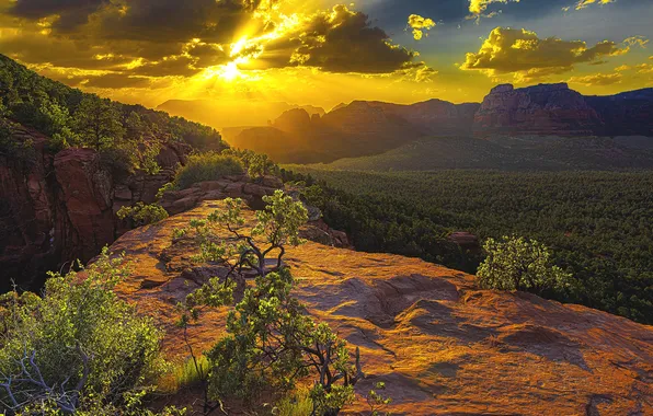 Forest, landscape, sunset, mountains, nature, valley