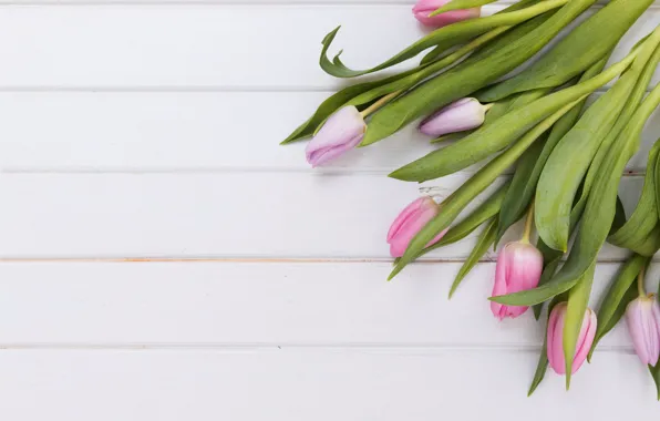 Flowers, tulips, pink, fresh, wood, pink, flowers, tulips