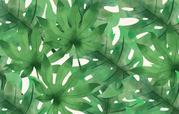 Leaves, background, pattern, plants, texture, green, spot, ornament