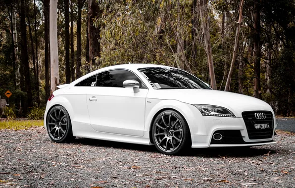 Picture Audi, Audi, white, white