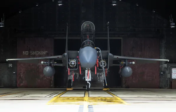 Fighter, Eagle, "Eagle", F-15D