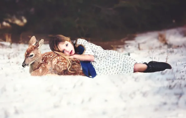 Picture snow, each, girl, fawn