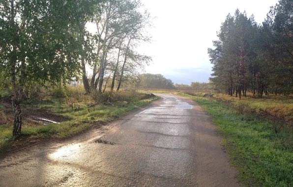 Road, trees, the atmosphere, after Dagda