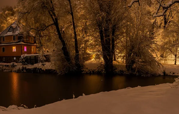 Picture winter, snow, trees, night, lights, river, the fence, home